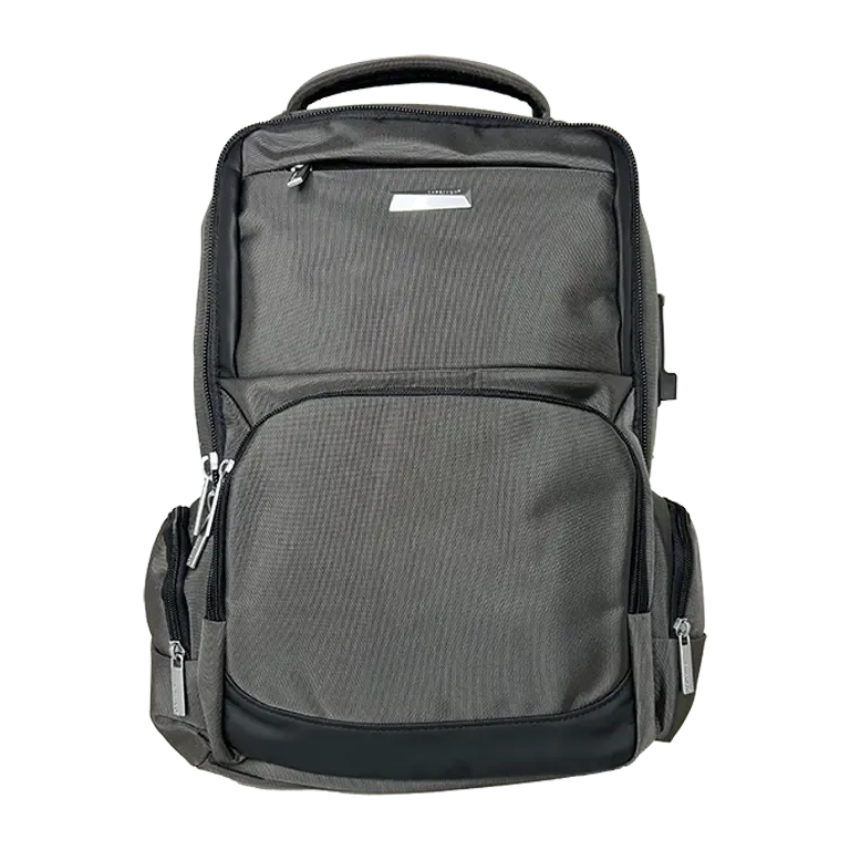 کوله پشتی لپ تاپ Catesigo مدل CS98775