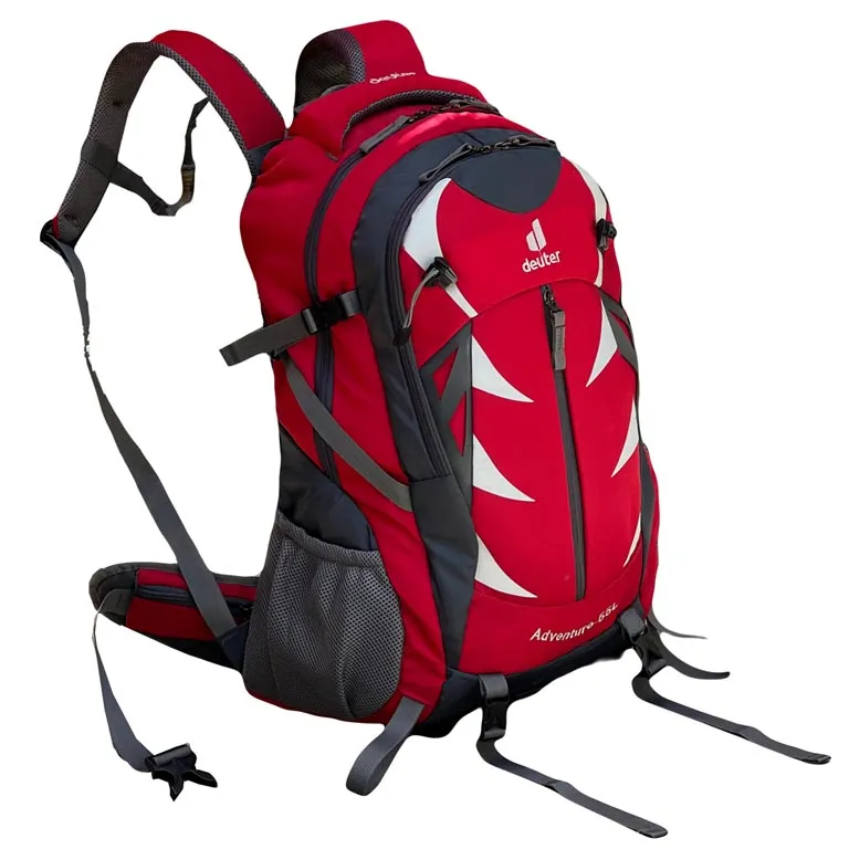 کوله پشتی حرفه ای دیوتر مدل DEUTER - DTR1221 حجم 55 لیتری