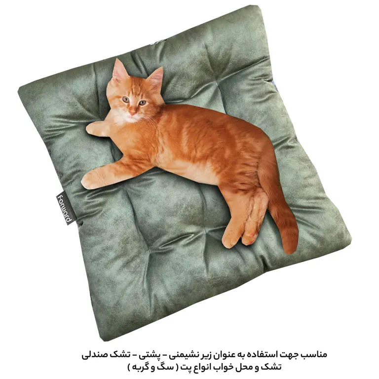 کوسن و زیرنشیمنی پسرانه فوروارد مدل FORWARD - FCLT5050 SQUARE